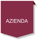 AZIENDA