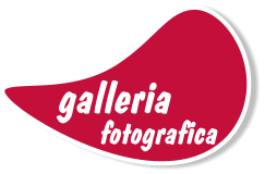 galleria  fotografica
