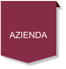 AZIENDA